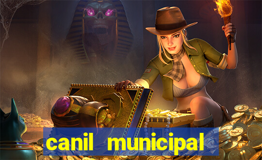 canil municipal porto alegre